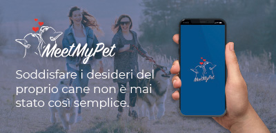 MeetMyPet s.r.l. | StarsUp